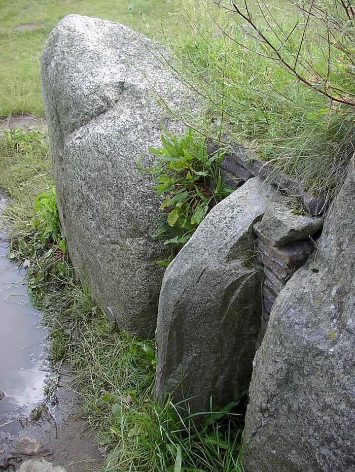 TustrupJaettestue 28