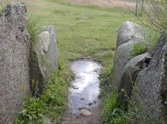 TustrupJaettestue 30