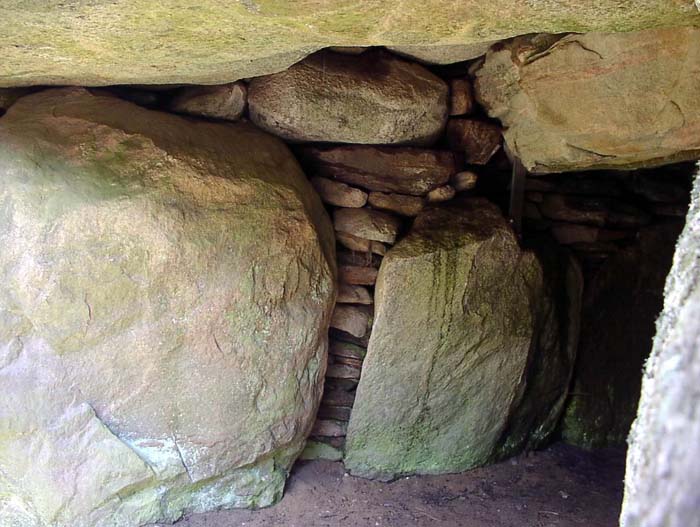 TustrupJaettestue 23