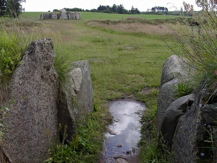 TustrupJaettestue 31