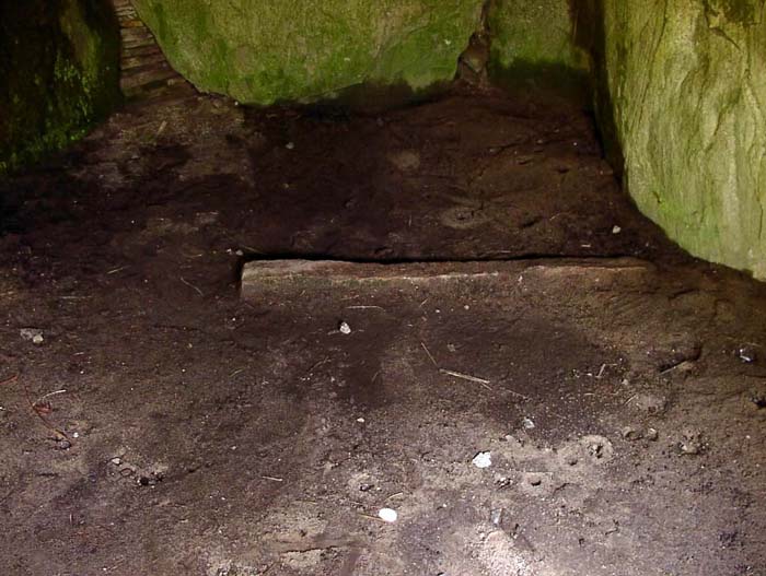 TustrupJaettestue 32